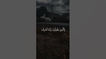 قران كريم | طمأنينة لا توصف