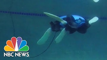 Yale researchers develop turtle-like robot