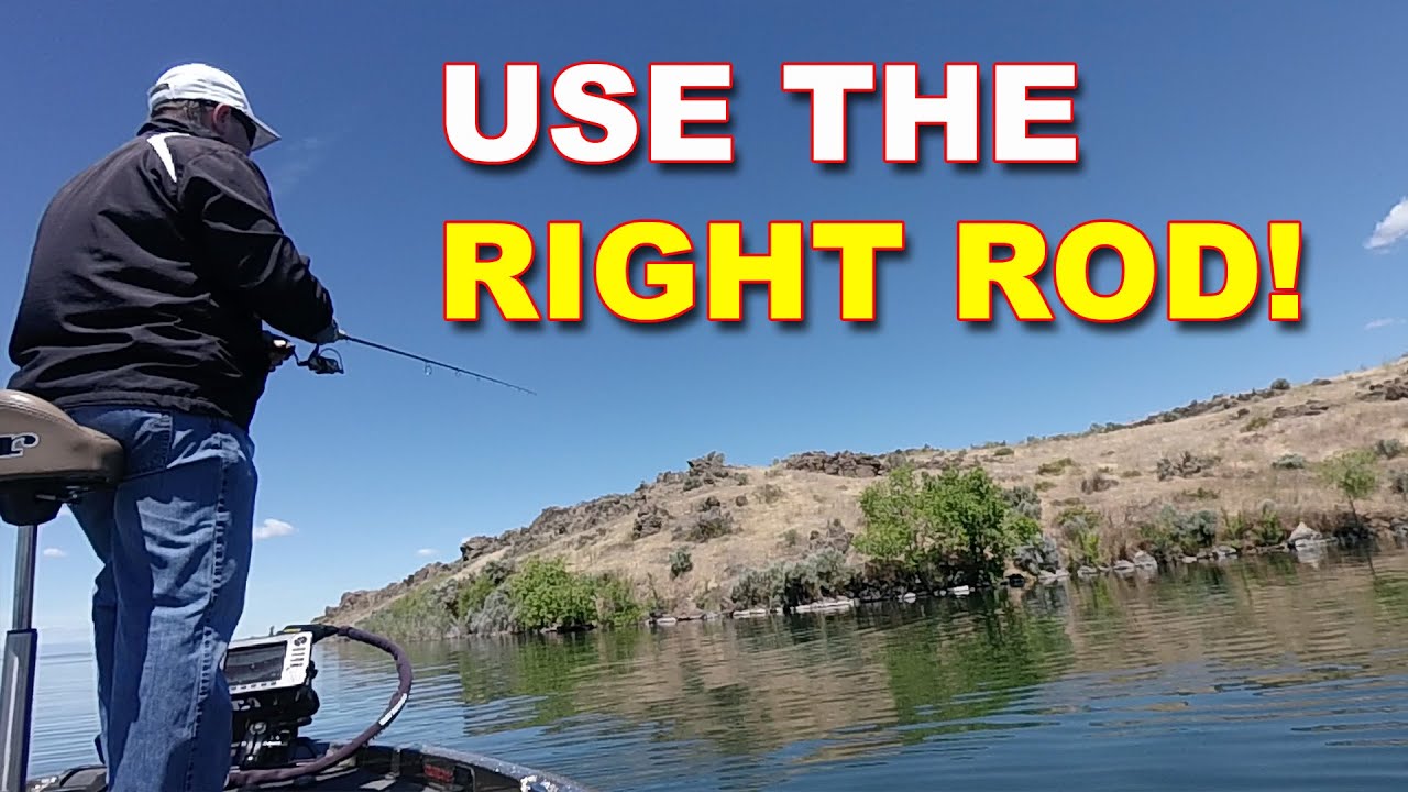 Подбор снаряжения для тактики ловли окуня перед нерестом | Рыбалка на окуня