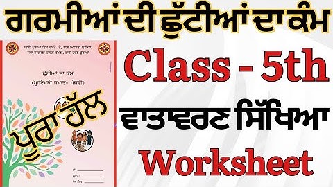 Class 5th ਗਰਮੀਆ ਦੀ ਛੁੱਟੀ ਦਾ ਕੰਮ ਜੂਨ 2025| PSEB 5th Class Holiday Homework EVS/ ਵਾਤਾਵਰਨ ਸਿੱਖਿਆ June