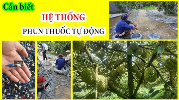 Phun thuốc tự động - Cần biết trước khi lắp đặt. TÍN DƯƠNG 0932934961