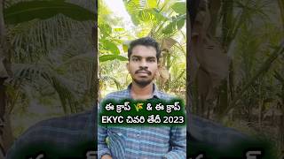 Ecrop EKYC and Ecrop Last Date 2023