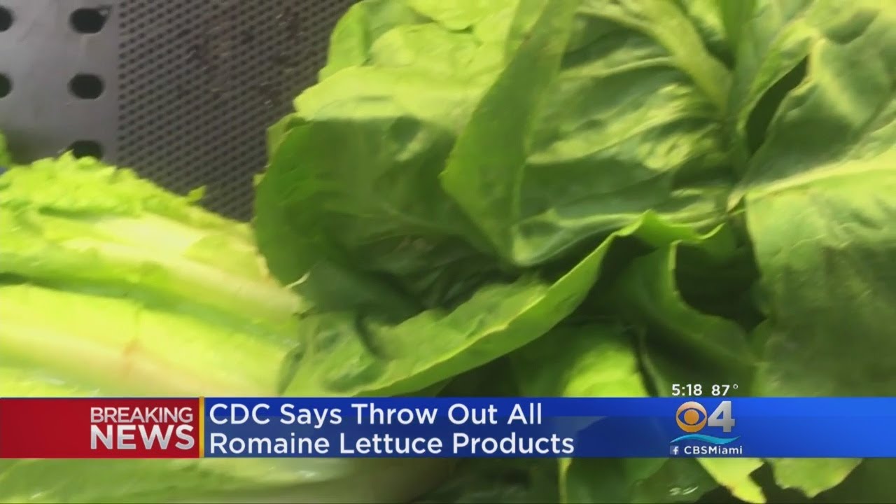 Avoid Eating Romaine Lettuce After E. Coli Outbreak, Says CDC - YouTube