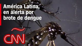 ¿Cómo protegerse ante el aumento de dengue en América Latina?