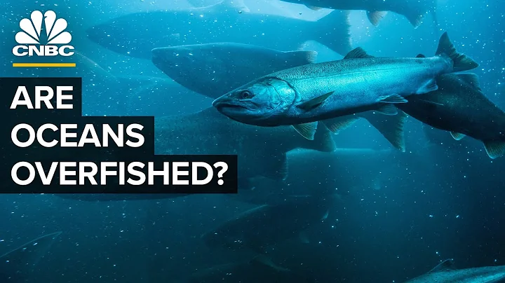 How The U.S. Went From Overfishing To Underfishing - DayDayNews