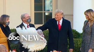 Trump pardons turkeys before Thanksgiving