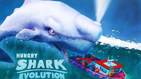 The whale shark| Moby dick unlocked