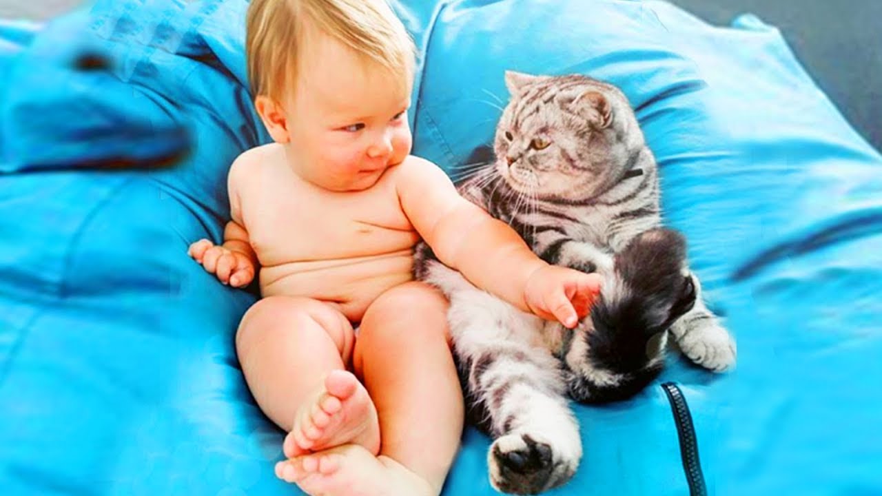 Funny Baby Videos 2020 Part 2 YouTube
