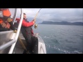 Heilbutt Kveite Drill - Halibut 210 cm 150Kg Norwegen 2016