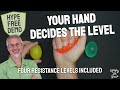 Rebuilding Grip Strength - Four Levels, One Pack