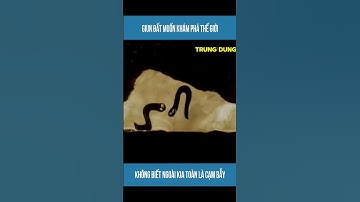 Review Phim Hoạt Hình : Giun Đất Muốn Khám Phá Thế Giới , Mà Không Biết Ngoài Kia Toàn Cạm Bẫy ...