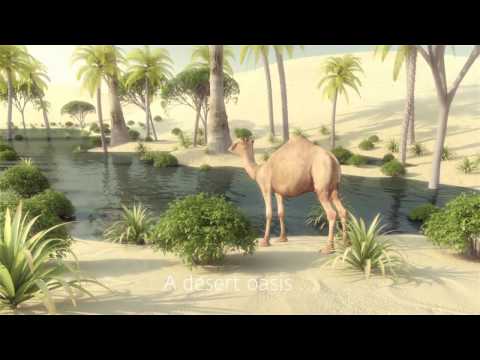 إعلان دولة قطر عن ملاعبها في كأس العالم 2022 ملاعب خيالية رائعة