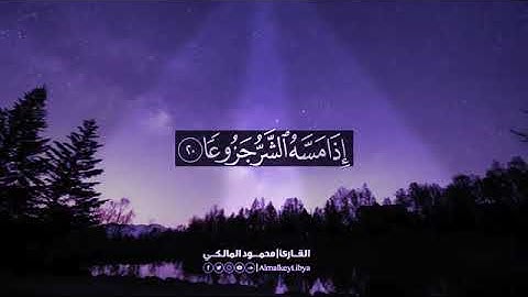 القارئ ليبي محمود المالكي