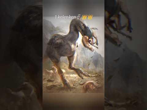 Top 5 Most Dangerous Extinct Terror Birds Extinct Prehistoric Birds Edit Funk 