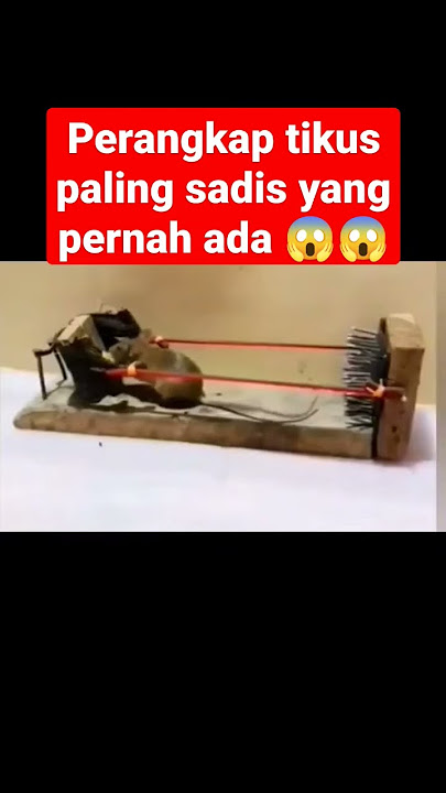 Perangkap Tikus Paling Sadis