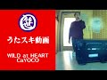 WILD at HEART/CaYOCO【うたスキ動画】