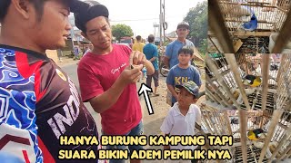 HANYA BURUNG KAMPUNG TAPI SUARA BIKIN ADEM PEMILIK NYA