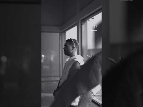      حامیم رز سفید