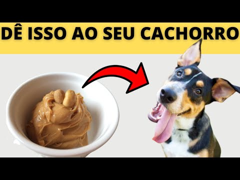 Vídeo: Se você alimentar o óleo de peixe do seu cão você deve dar vitamina E?