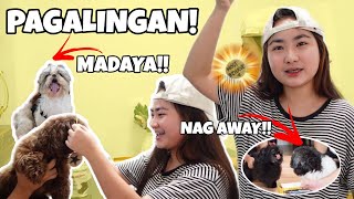 NAG LABAN ANG MGA PANGO!! (SOBRANG TAPANG) || Shang Ragasa