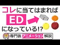 ED（勃起不全）を自分でチェックする方法【13分で糖尿病専門医がアニメーションで解説】