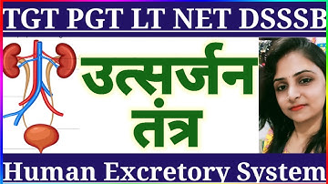 मानव उत्सर्जन तंत्र || Metabolism || Metabolic waste || TGT PGT HOME SCIENCE CLASSES BY DIVYA MISHRA