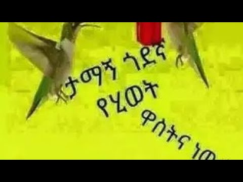 ቪዲዮ: ዋት ታይለር: የሕይወት ታሪክ, ፈጠራ, ሙያ, የግል ሕይወት