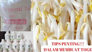 Tips penting!!! membuat toge|OCEAN STAR GROUP #togesuper