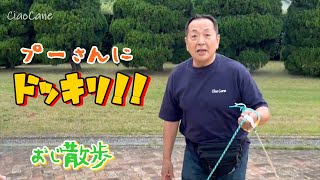 Download Lagu おじ散歩♪プーさんにドッキリ!第三のおじさん登場!【チャオカーネ】 MP3 Download Lagu おじ散歩♪プーさんにドッキリ!第三のおじさん登場!【チャオカーネ】 MP3