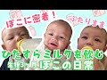【同性カップル】生後3ヶ月 ぽこ太郎のミルクシーンに密着！ #ふたりママ #同性カップル