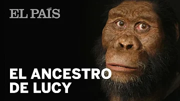 ¿Sigue siendo Lucy el fósil humano más antiguo?