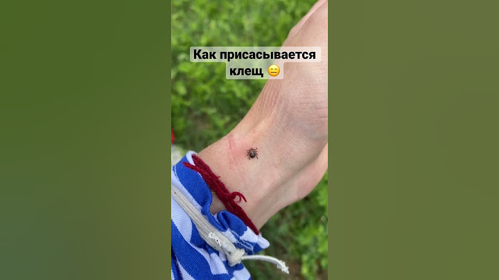 Клещи в лесу/ клещи 2023/ присосался клещ/ как бороться с клещами