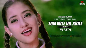 Tum Mile Dil Khile | Remix | DJ ASIM | 2022