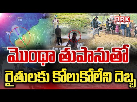 Cyclone Montha causes irreparable damage to farmers | Cyclone Montha | @brknewsofficial