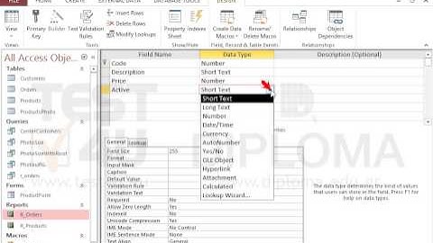 Insert one more field in the Products table using the name Active and the appropriate type so...