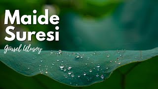 Maide Suresi - Türkçe Mealli & Takipli | Gürsel Ulusoy