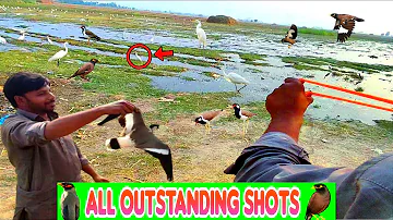 Some Amazing Birds Hunting With Slingshot!