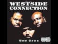 04. Westside connection -  All The Critics In New York