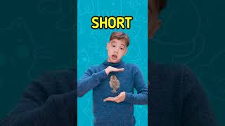 Playful Size Showdown: How Big is Your Favorite Animal?