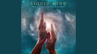 Video thumbnail of "Liquid Mind - The Joy of Quiet"