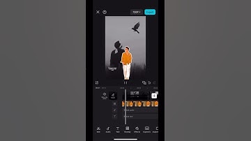 CapCut Transition Effect - Slide Cutout Tutorial| #shorts