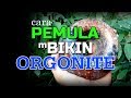 Pemula MBikin Orgone Pemula MBikin Orgone
