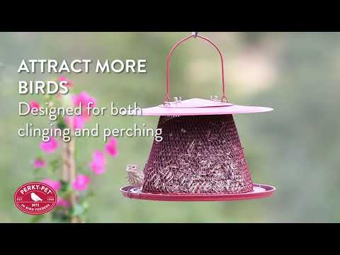 Perky-Pet® Red Cardinal Bird Feeder | Benefits