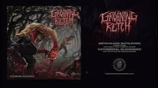 GROANING RETCH (US) - METICULOUS MUTILATION (Single) - Iron Fortress Records 2025