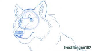 Wolf Head Turn -Rough Animation-
