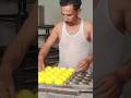 How Millions of Tennis Balls Are Made 😱🎾 | Satisfying Factory Process 🔥 #manufacturing