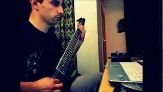 VOLUMES WORMHOLES GUITAR COVER