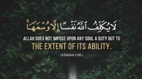 لَا يُكَلِّفُ اللَّهُ نَفْسًا إِلَّا وُسْعَهَا#القارئ محمد محمود