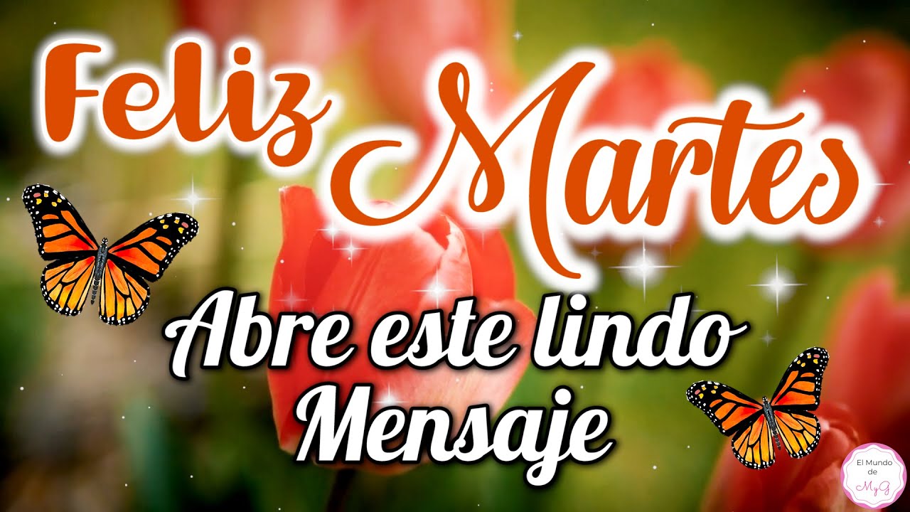 Buenos Días🌞Feliz MARTES🧡 Lindo Mensaje de Buenos Días PARA TI💖 Abre  este lindo mensaje - thptnganamst.edu.vn