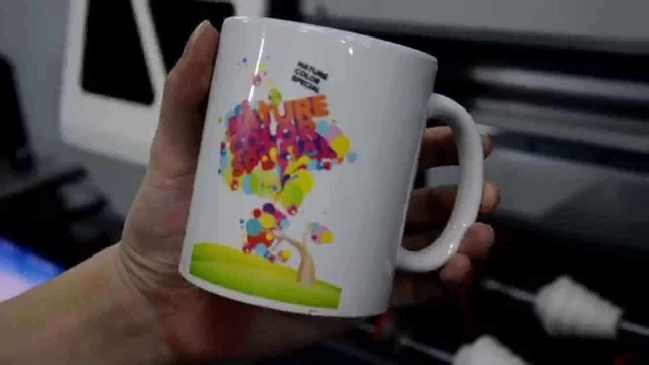 difference between 65 and 65xl